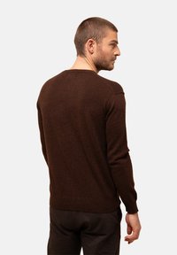 Brauner Wollpullover mit klassischem Rundhalsausschnitt und gerippten Bündchen, von hinten angezeigt. Hat eine glatte Textur und eine taillierte Passform.