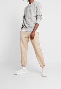 Replay Sweatshirt - grey