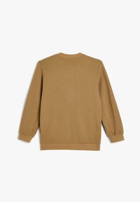 Bruine sweatshirt met lange mouwen, geribbelde manchetten en een ronde halslijn. Gladde stoftextuur, minimalistisch ontwerp, geen zichtbare graphics of patronen.