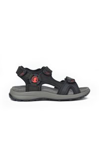 Coronel Tapiocca Sandalias de senderismo - black