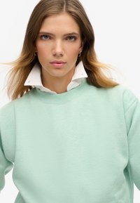 Superdry & Co ESSENTIAL LOGO - Sudadera - minted green marl