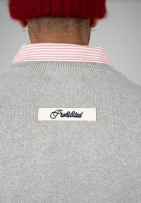 Personne portant un bonnet en laine rouge, un pull gris avec une étiquette "Prohibited" dans le dos, et une chemise rayée rose et blanche à col en-dessous.