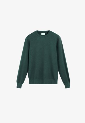 Groene brei trui met een ronde hals, lange mouwen, geribbelde manchetten en zoom. De textuur lijkt glad en zacht, geschikt voor casual kleding.