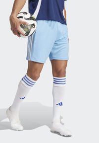 adidas Performance - SQUADRA 21 - Sports shorts - blauweissblau Thumbnail Image 1