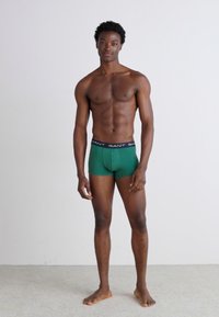 Calzoncillos verdes con una cinturilla negra de GANT, llevados por un modelo de pie con una complexión muscular sobre un fondo claro.