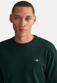 Maglione verde scuro lavorato a maglia con scollo rotondo e piccolo logo Gant sul petto, caratterizzato da una texture liscia e design aderente.
