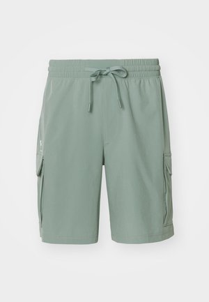 Shorts cargo vert clair avec une taille élastique, un cordon de serrage et des poches latérales. Fabriqués en tissu léger, offrant une coupe décontractée.