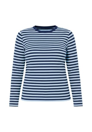 Langarmig marineblauw en wit horizontaal gestreept shirt met ronde halslijn, afgebeeld tegen een effen witte achtergrond.