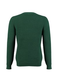 Grüner gestrickter Pullover, lange Ärmel, strukturierte Oberfläche, Rundhalsausschnitt, gerippte Bündchen, Rückansicht, keine sichtbaren Logos oder Muster.