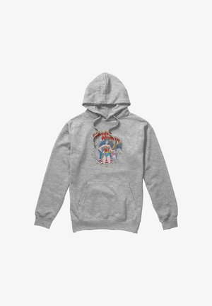 Warner Brothers, JLA AT YOUR SERVICE - Kapuzenpullover - mottled light grey