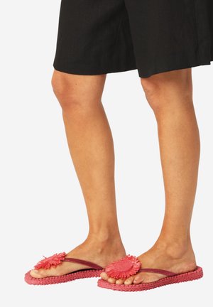 Osoba w czarnych szortach i różowych klapkach z dużymi kwiatowymi ozdobami na jednolitym białym tle.