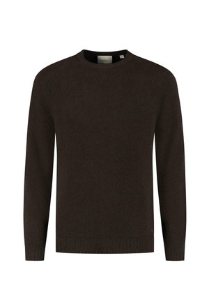 Bruine gebreide trui met een ronde hals, lange raglanmouwen en geribbelde manchetten en onderkant. Eenvoudig ontwerp, geen zichtbare patronen of accenten.