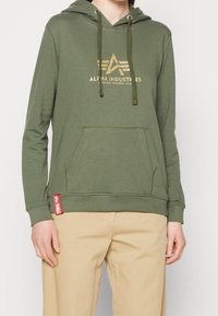 Felpa verde con logo dorato, tasca a canguro, cappuccio con cordino e polsini a coste. Presenta un'etichetta di accento rossa sull'orlo sinistro.