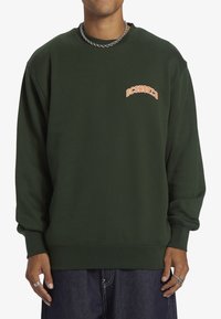 Sudadera verde con cuello redondo, mangas largas, puños acanalados y un logo naranja "DCSHOECO" en el lado izquierdo del pecho.