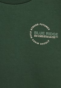 Pulover verde cu guler rotund, fabricat dintr-un material moale, având text imprimat alb care spune "BLUE RIDGE" și un design circular cu text suplimentar.