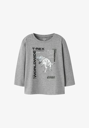 Graues Langarmshirt mit einem geometrischen T-Rex-Motiv und schwarzem Text mit den Worten "WORLDWIDE", "T-REX", "FREEDOM" und "THE DINOSAUR EXPERT".