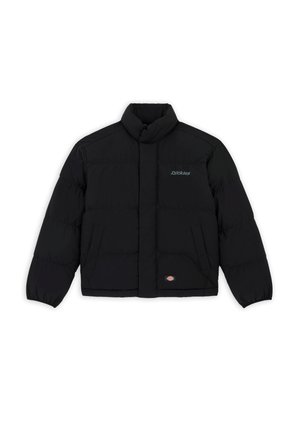 Dickies, SCOBEY - Jachetă de iarnă - black