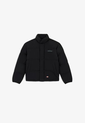 Dickies, SCOBEY - Jachetă de iarnă - black