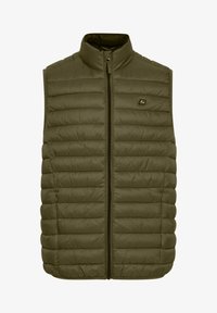 Unausgewählt, winter moss