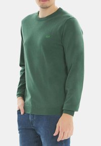 Felpa a maniche lunghe verde in cotone con collo rotondo e piccolo logo in verde chiaro, abbinata a jeans di denim blu.