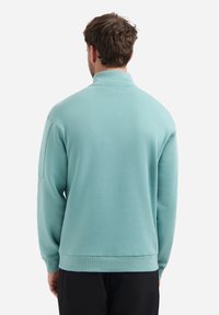 Lichtblauwe pullover sweatshirt met hoge kraag, ribgebreide manchetten en zoom. Gemaakt van zachte stof, met een ontspannen pasvorm en naadloze schouders.