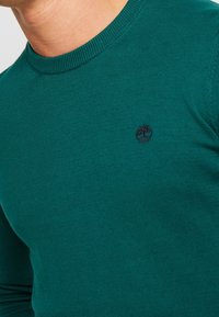 Grüner Strickpullover mit rundem Ausschnitt und geripptem Saum. Mit einem kleinen schwarzen Baum-Logo auf der Brust, glatte Textur.