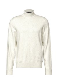 Pull en col roulé beige clair en matière douce. Présente des manches longues, des poignets côtelés et un ourlet côtelé. Design simple sans motifs supplémentaires.