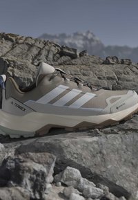 Chaussure de randonnée Adidas Terrex marron clair et blanche avec Gore-Tex, posée sur un terrain rocailleux avec un fond montagneux.