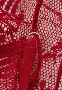 Lingerie in pizzo rosso con design a trama intricata, caratterizzata da una consistenza morbida, spalline regolabili e dettagli in metallo dorato.