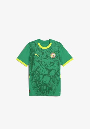 Tricou verde cu mânecă scurtă, având un design grafic cu un leu în verde închis. Accentuate cu detalii galbene și un logo pe piept.