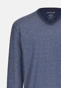 Blaues Langarmshirt mit V-Ausschnitt und dünnen Horizontalstreifen. Weicher Stoff, gerippter Kragen und ein Logo, das innen am Kragen gedruckt ist.