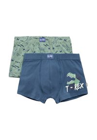 Dos pares de calzoncillos de ni ño; uno verde con estampado de dinosaurios, y el otro azul marino con un gráfico de T-rex y texto, ambos con cinturas elásticas.
