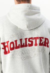 Vista posteriore di una persona che indossa una felpa leggera grigia con grande scritta rossa "HOLLISTER" e un lieve design decorativo sul retro.