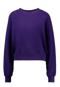 Lila, verkürzter Sweatshirt mit Raglanärmeln, geripptem Kragen und Bündchen, glatter Textur und einem einfachen, schlichten Design.