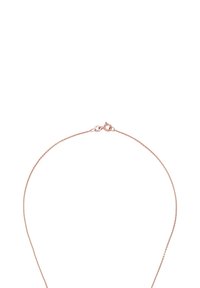 Collana in oro rosa con una catena delicata dal design sottile e liscio, dotata di chiusura a scatto.
