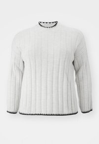 CARCHICK - Jumper - pumice stone/black