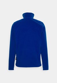 Helly Hansen DAYBREAKER - Giacca in pile - blue