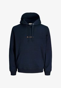 Nepasirinkta, sky captain