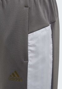 Šedé sportovní šortky s texturovanou tkaninou, bílými mřížkami na bočním panelu a zlatým akcentem loga Adidas.