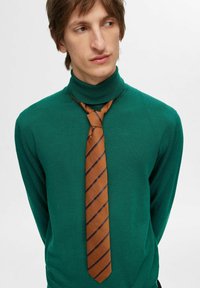 Zeleni pulover s turtleneck ovratnikom in dolgimi rokavi, v kombinaciji s kostanjevo kravato z mornarskimi diagonalnimi črtami. Gladka tekstura z oprijetim silhueto.
