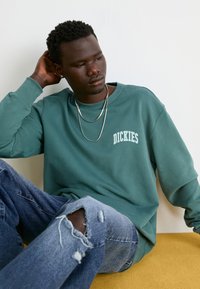 Dickies AITKIN CHEST UNISEX - Felpa - dark green