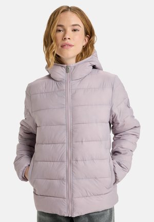 WIND BLISS - Winter jacket - pjq