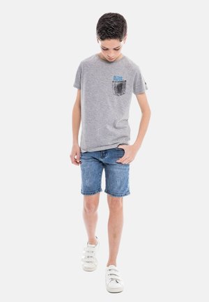 Ritchie Jeans NAMPTY - T-shirt imprimé - gris