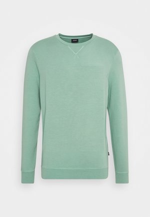 Sudadera verde clara hecha de una tela suave, con mangas largas, cuello redondo y una pequeña etiqueta con el logo en la costura lateral izquierda.