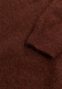 WE Fashion WE STUDIO - Džemperis - brown
