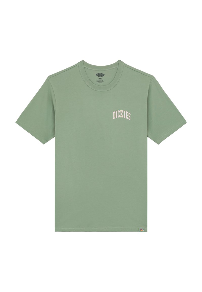 Dickies T-shirt print lichtgroen Dickies T-shirt print lichtgroen