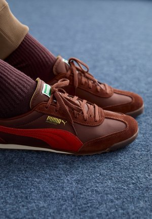 Baskets basses - brown