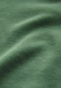 Next SHORT SLEEVE LETTUCE EDGE - REGULAR FIT - T-shirt med print - green