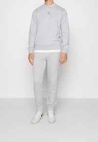 Felpa grigia chiaro e pantaloni felpati realizzati in materiale morbido. La felpa presenta un piccolo logo verde, mentre i pantaloni hanno lo stesso logo sulla coscia.