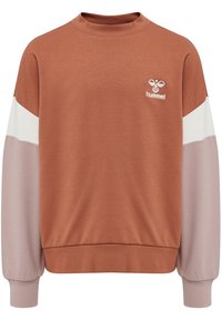 Brun sweatshirt med rund hals, långa ärmar i ljusrosa och vitt, med en liten vit logotyp på bröstet. Mjuk tyg, avslappnad design.